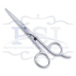 Economy Hair Scissor