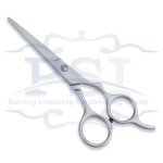 Economy Hair Scissor