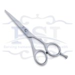 Economy Hair Scissor