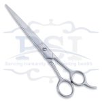 Economy Hair Scissor