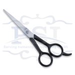 Economy Hair Scissor
