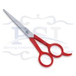 Economy Hair Scissor