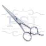 Economy Hair Scissor