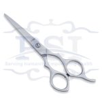 Economy Hair Scissor