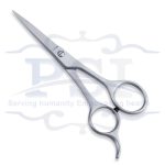Economy Hair Scissor