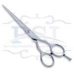 Economy Hair Scissor
