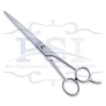Economy Hair Scissor