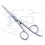 Economy Hair Scissor