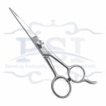 Professional Hair Cutting Shear