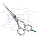 Professional Razor Eadge Shear